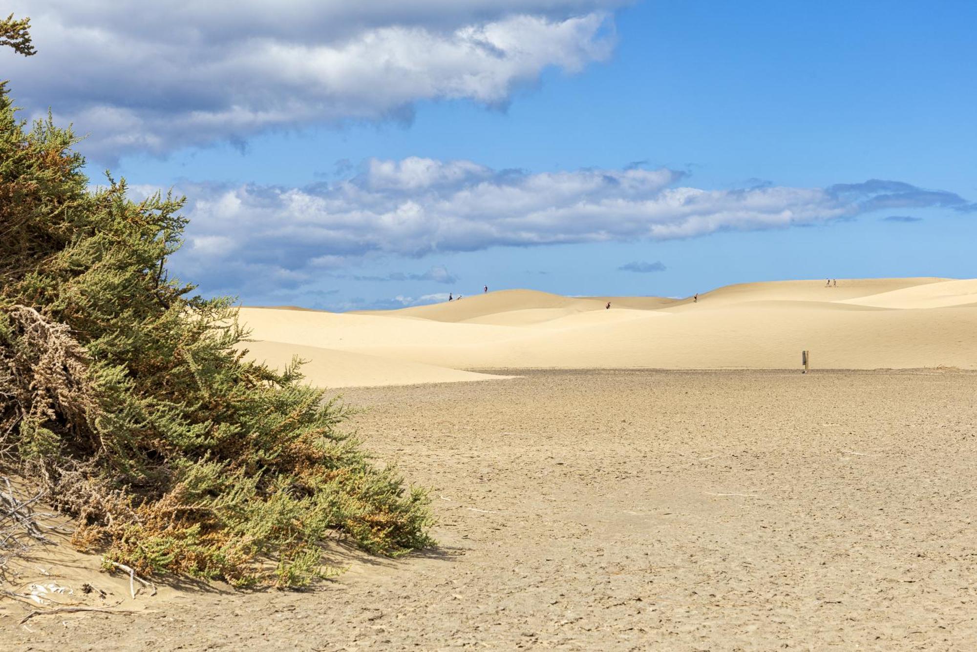 Smartr Maspalomas Corinto Playa del Ingles  Exterior photo